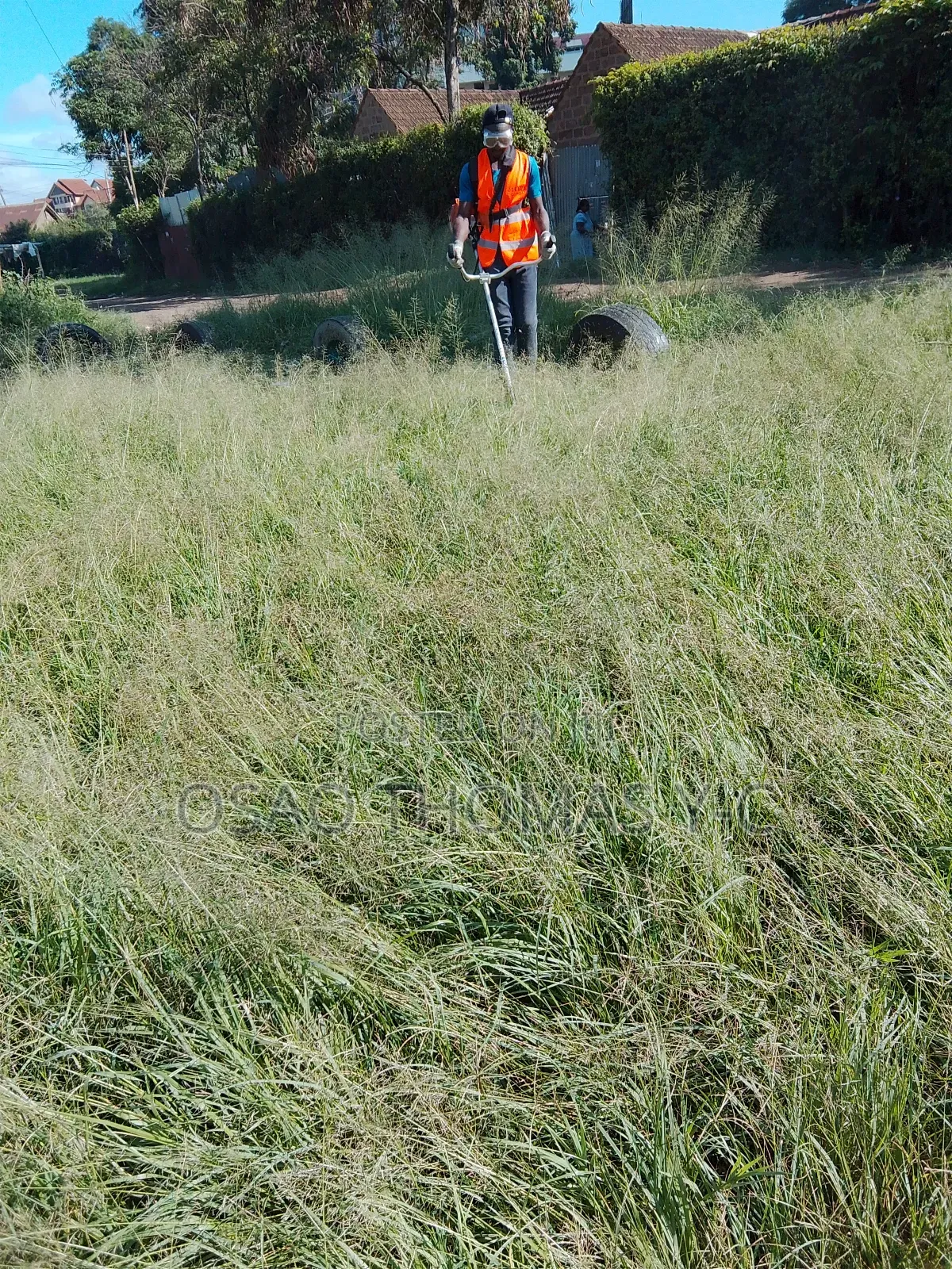 Landscaping and Grass Cutting