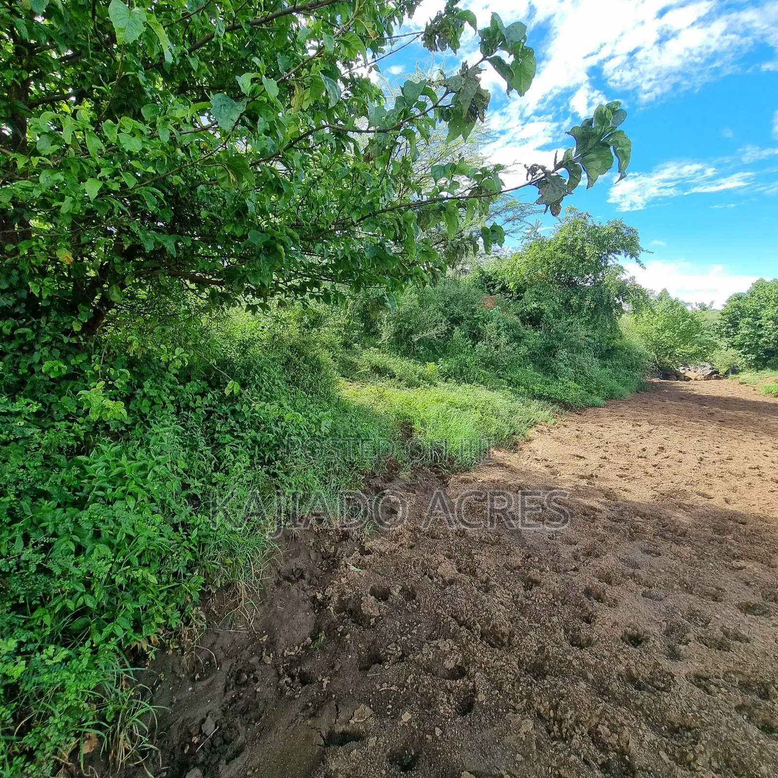 49 Acres Soitamurt, Kajiado West
