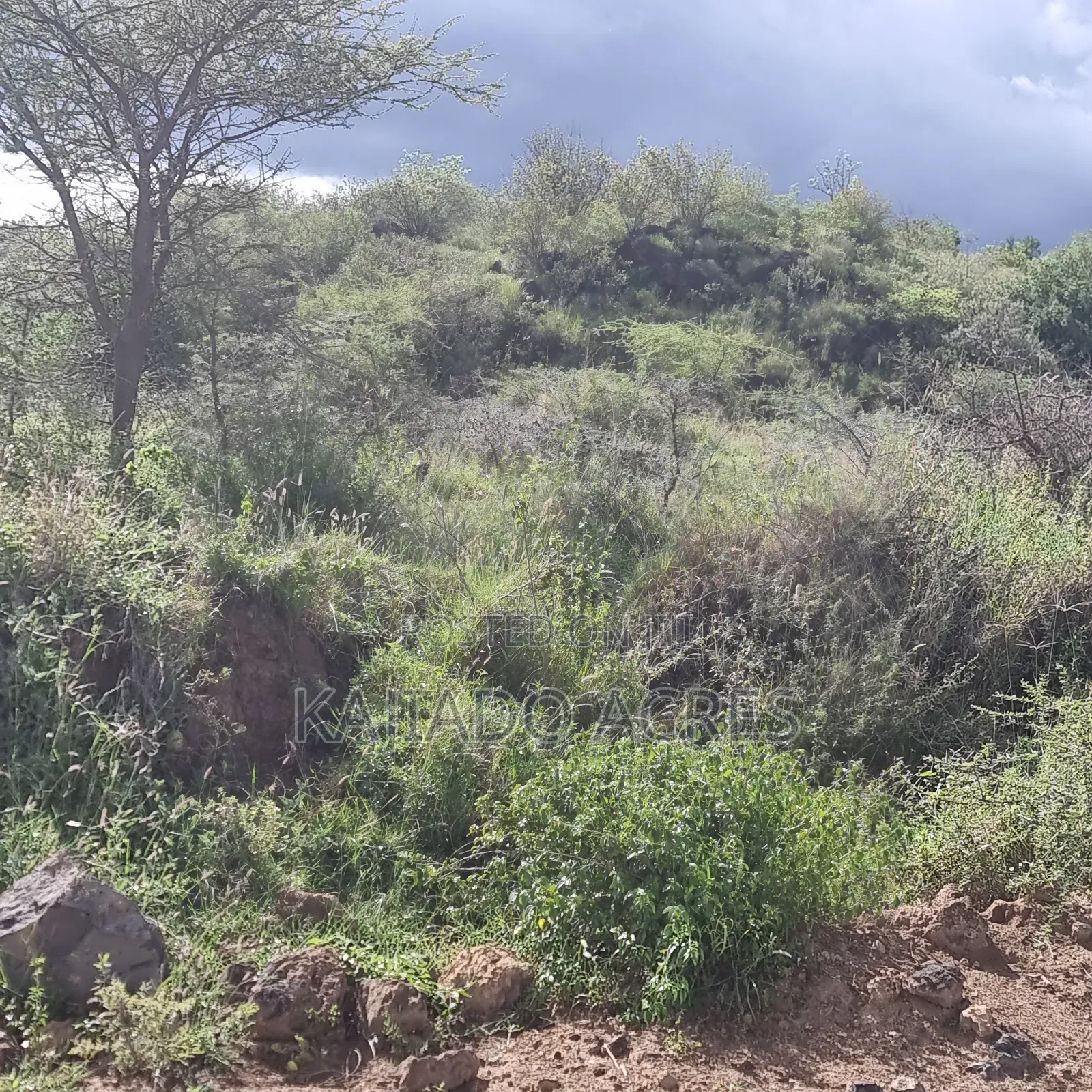 49 Acres Soitamurt, Kajiado West