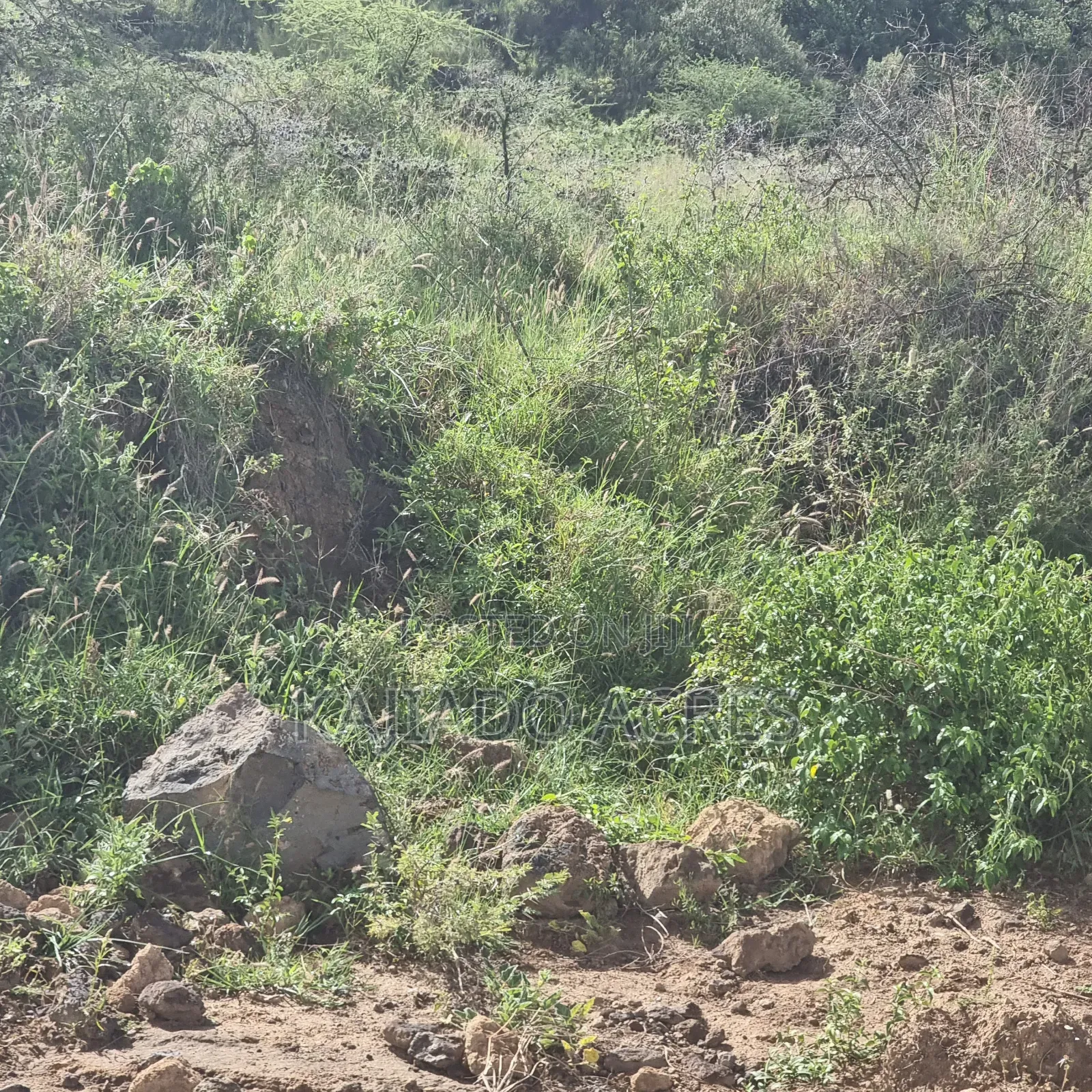 49 Acres Soitamurt, Kajiado West