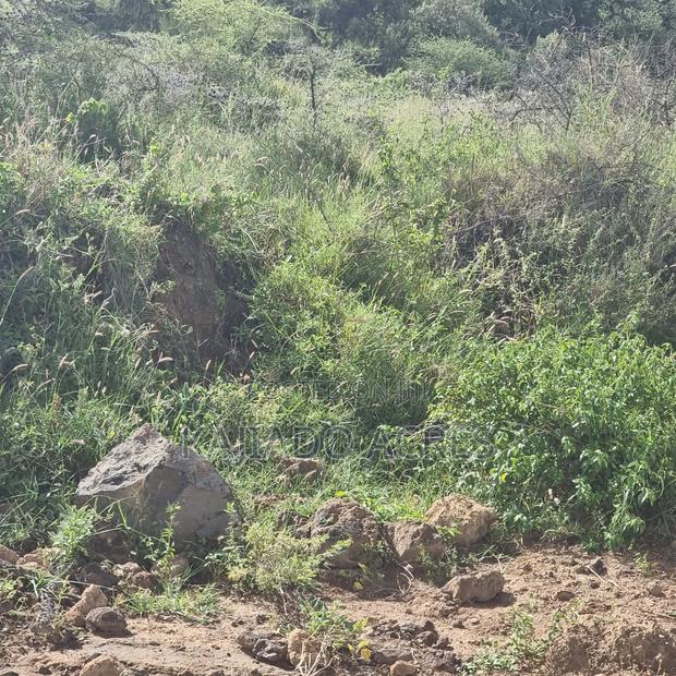 49 Acres Soitamurt, Kajiado West - thumbnail 12