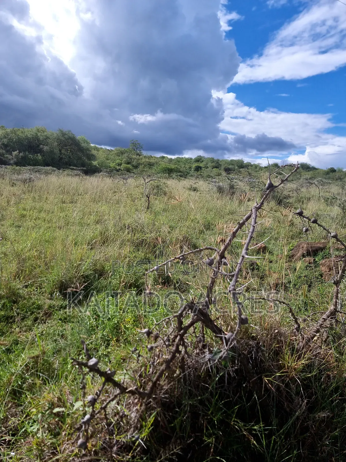 49 Acres Soitamurt, Kajiado West