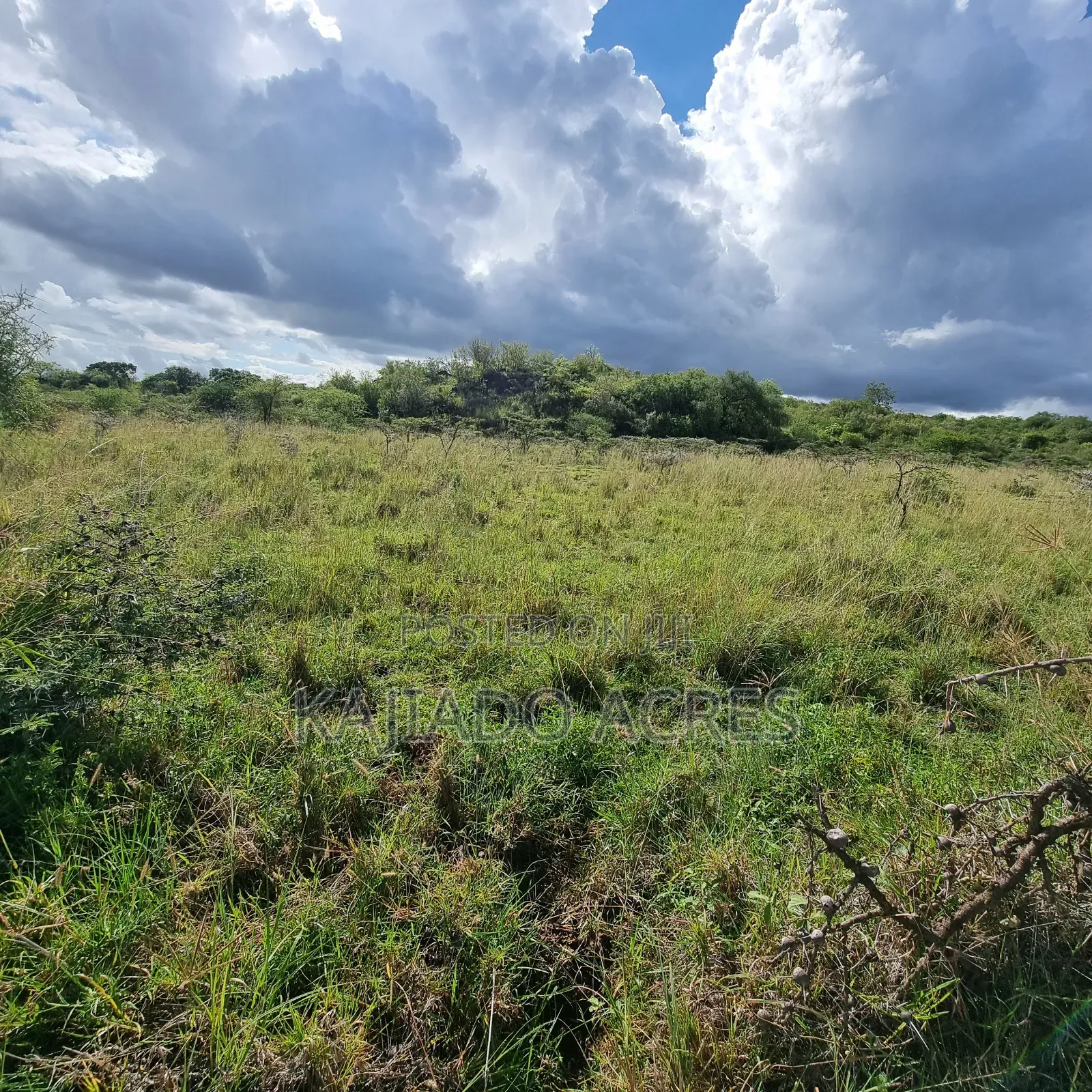 49 Acres Soitamurt, Kajiado West