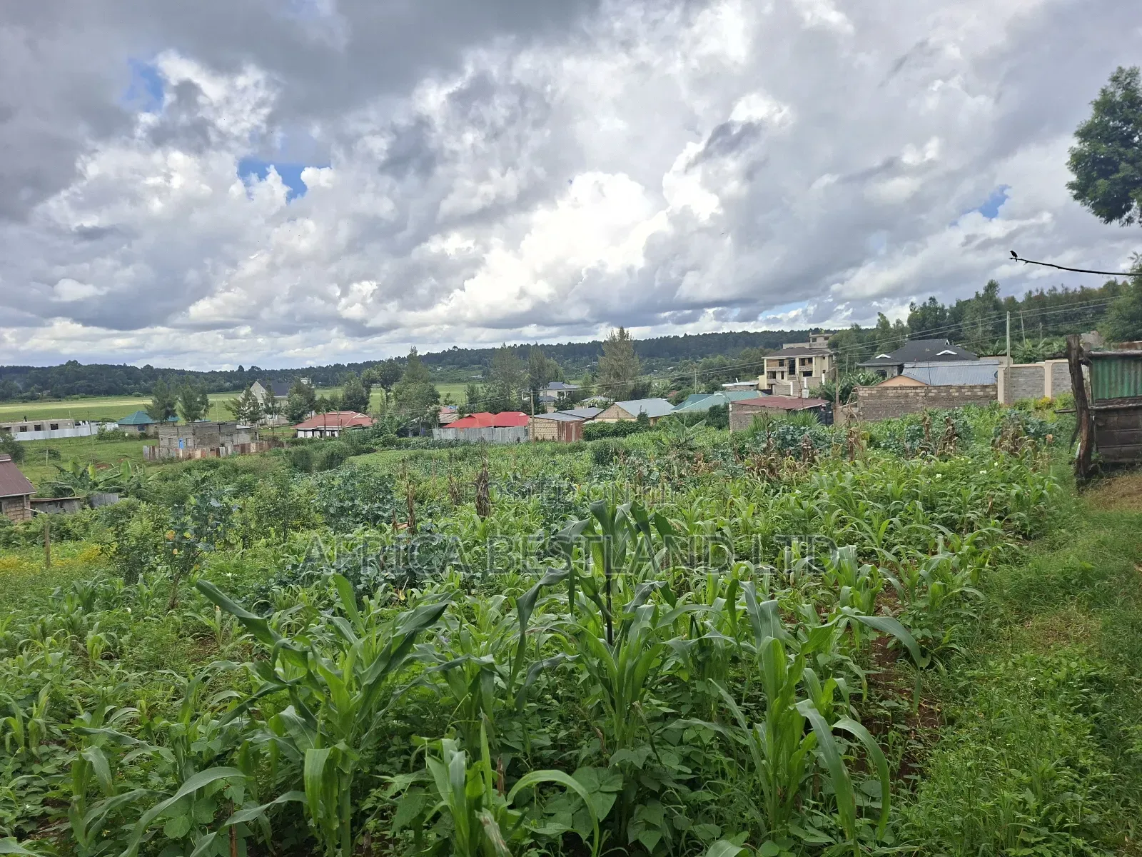 50x100 Available Plot for Sale in Gikambura