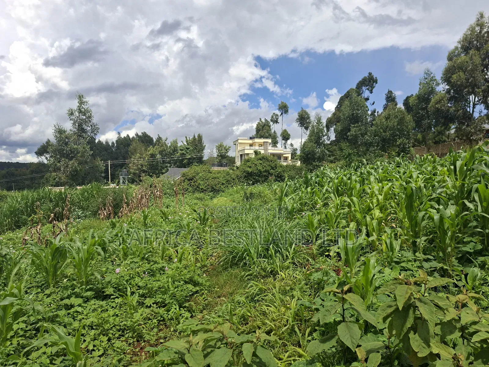 50x100 Available Plot for Sale in Gikambura