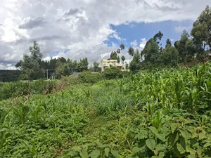 50x100 Available Plot for Sale in Gikambura