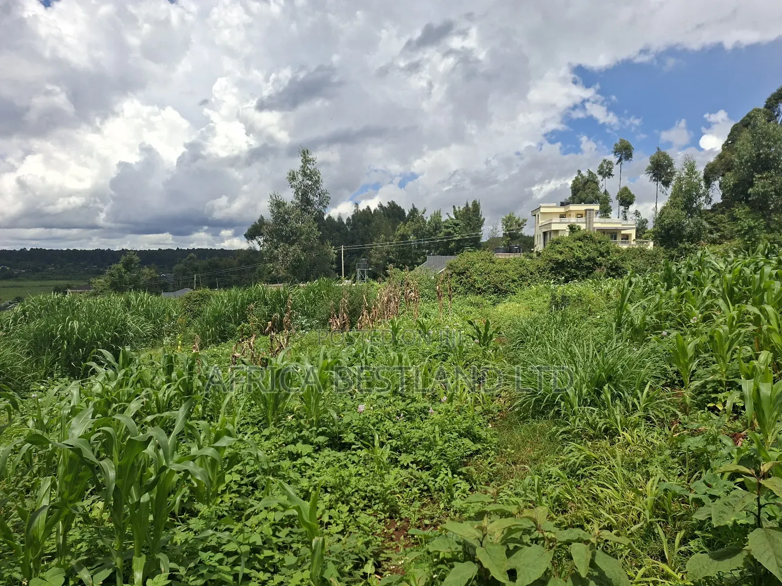 50x100 Available Plot for Sale in Gikambura