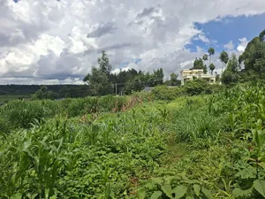 50x100 Available Plot for Sale in Gikambura