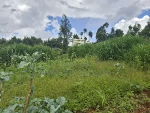 50x100 Available Plot for Sale in Gikambura