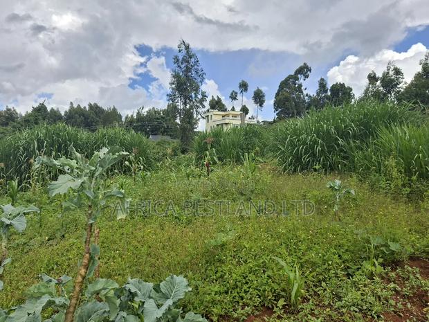50x100 Available Plot for Sale in Gikambura - thumbnail 4