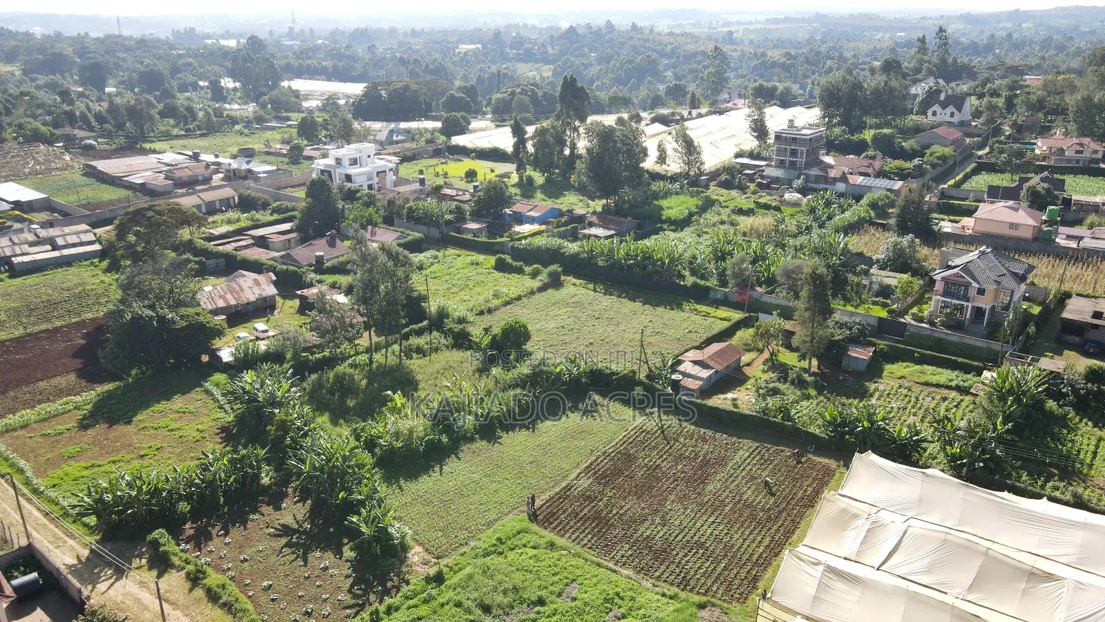 Emergency Sale 1/4 Acre Ondiri ,