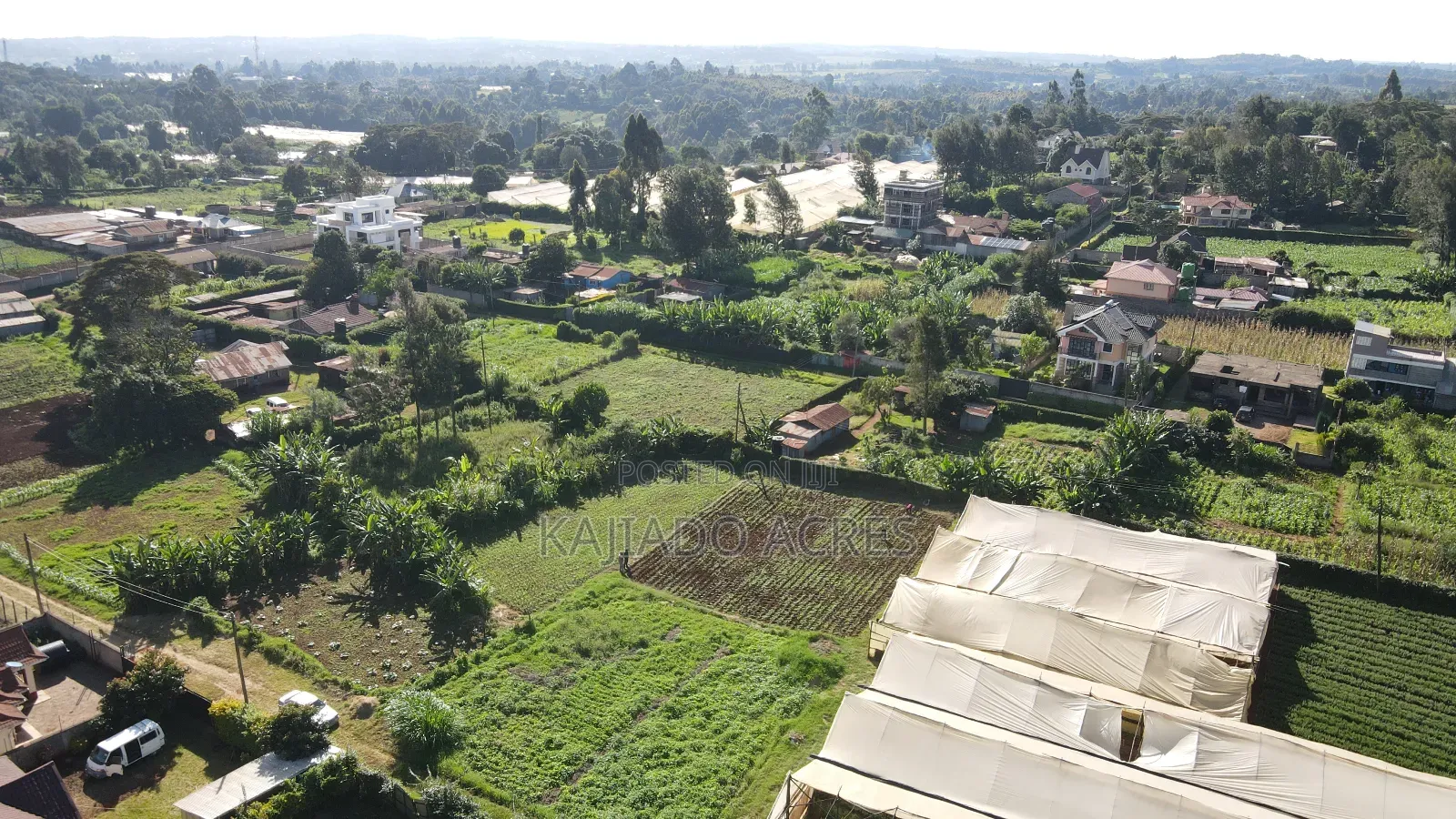 Emergency Sale 1/4 Acre Ondiri ,