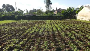 Emergency Sale 1/4 Acre Ondiri ,