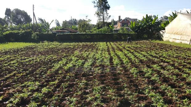 Emergency Sale 1/4 Acre Ondiri , - thumbnail 4