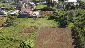 1/8 of an Acre Pieces Ondiri Kikuyu at 4m