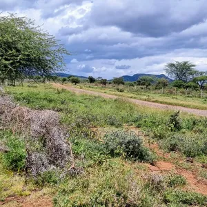 1 Acre Saikeri-Najile Road at 