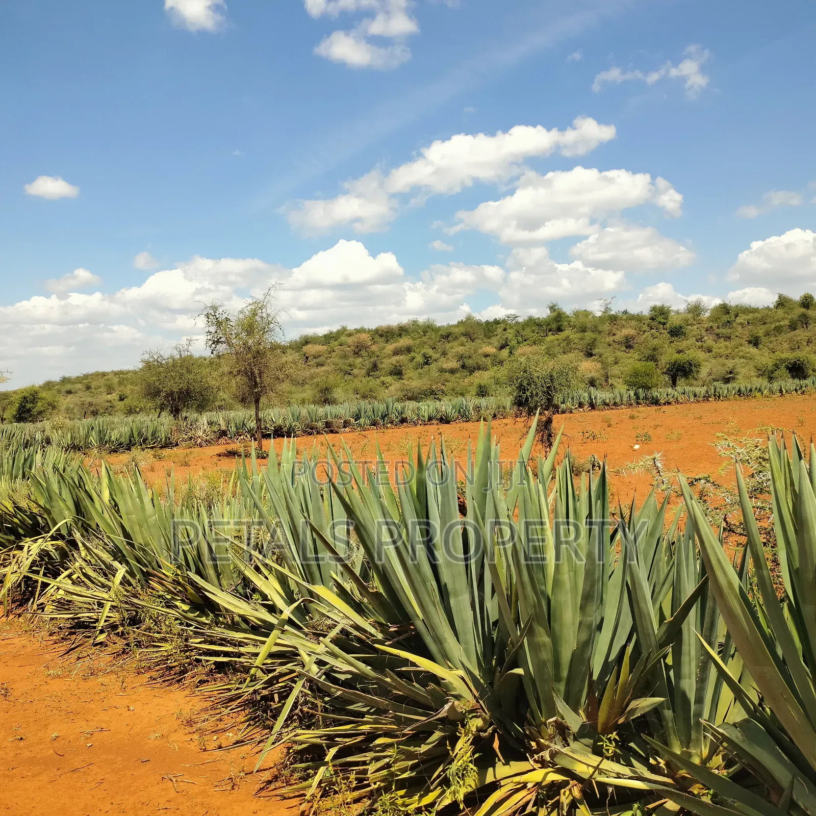 20 Acres for Sale in Mogotio