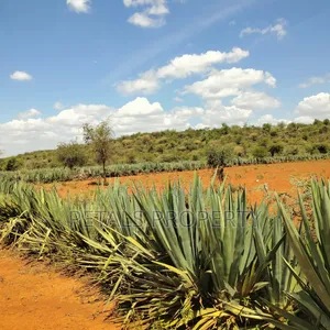 20 Acres for Sale in Mogotio