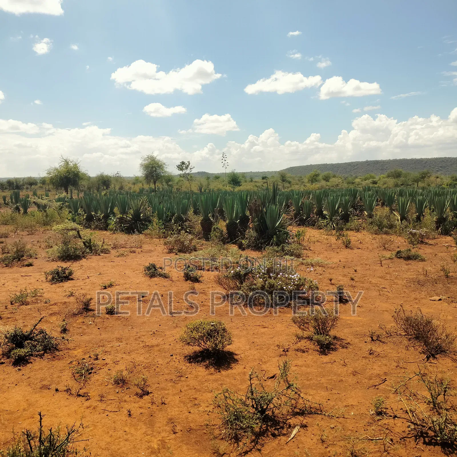 20 Acres for Sale in Mogotio