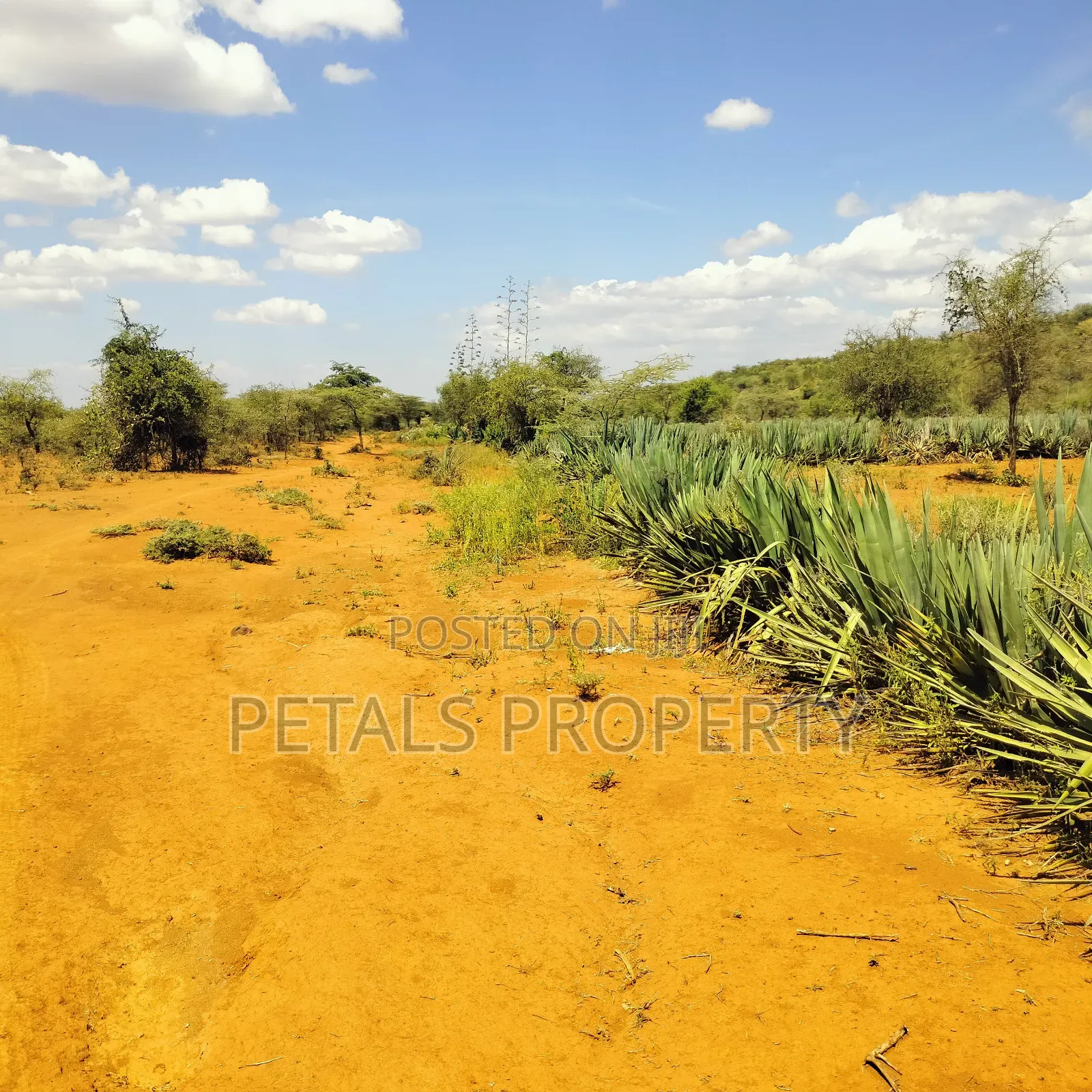 20 Acres for Sale in Mogotio