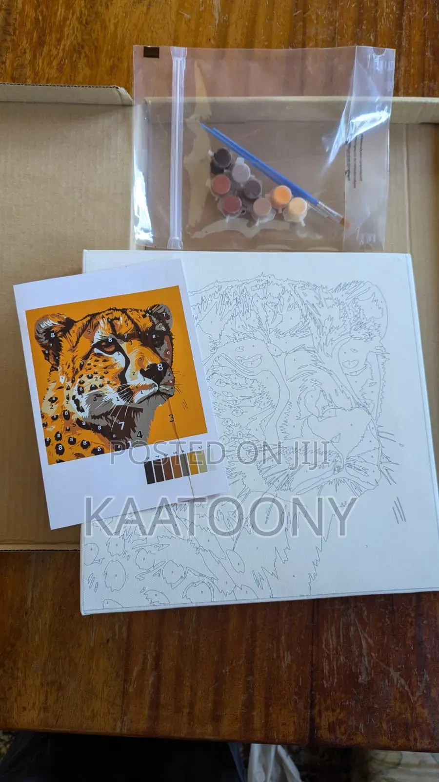Paint by Number Kit