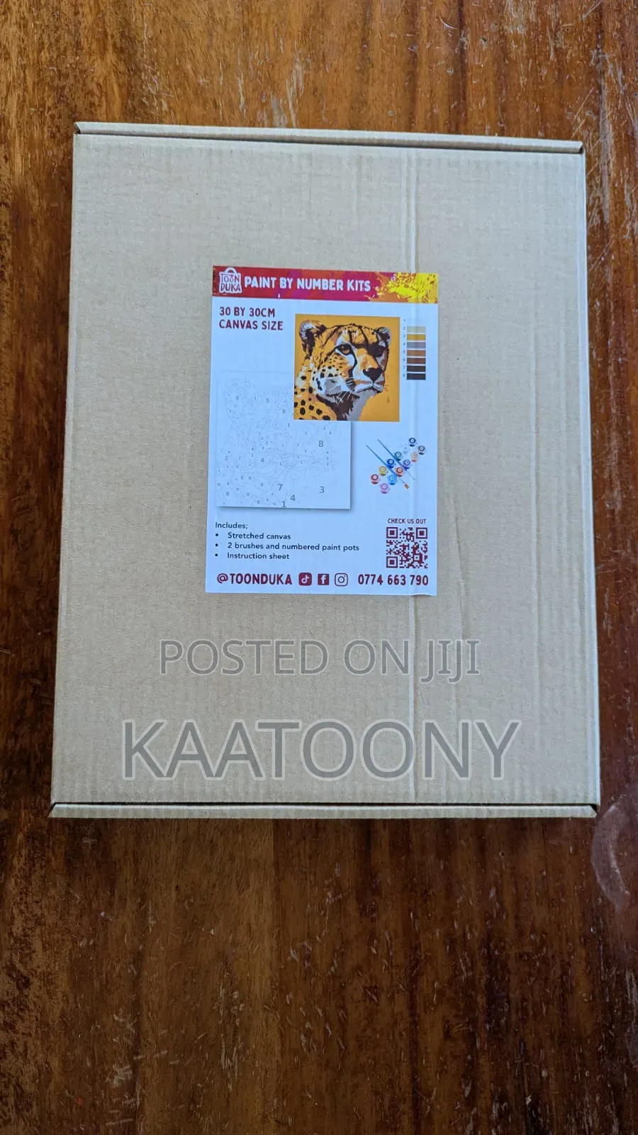 Paint by Number Kit
