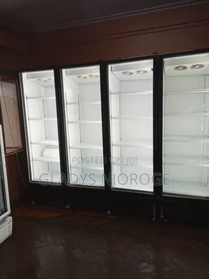 Affordable Premier Chiller Clean Smart