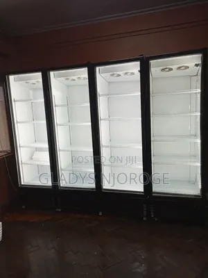 Affordable Premier Chiller Clean Smart