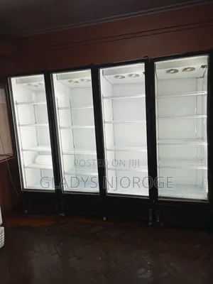 Affordable Premier Chiller Clean Smart