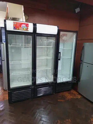 Commercial Chiller Fridge (Perfect Condition)