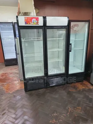 Commercial Chiller Fridge (Perfect Condition)