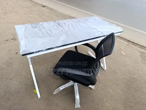 Metallic Desk +Mesh Chair
