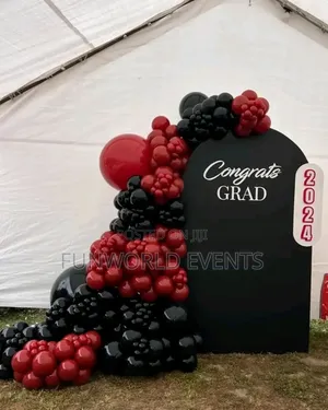 Balloon Backdrops and Decor, Kids Parties, Events Rentals.