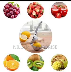 *Heavy Duty Lemon Squeezer