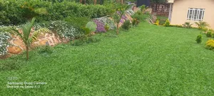 The Art and Craft of Growing Plants