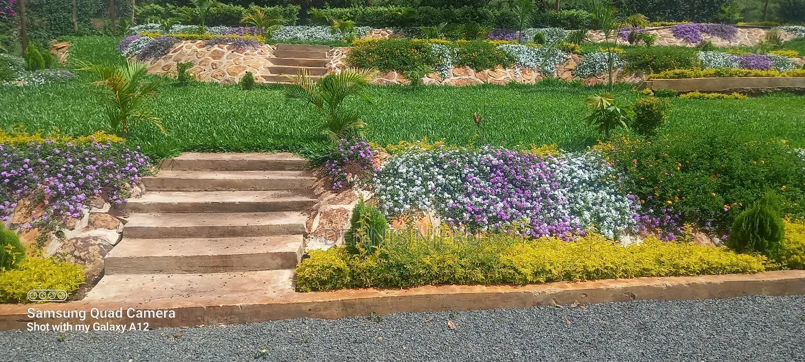 The Art and Craft of Growing Plants
