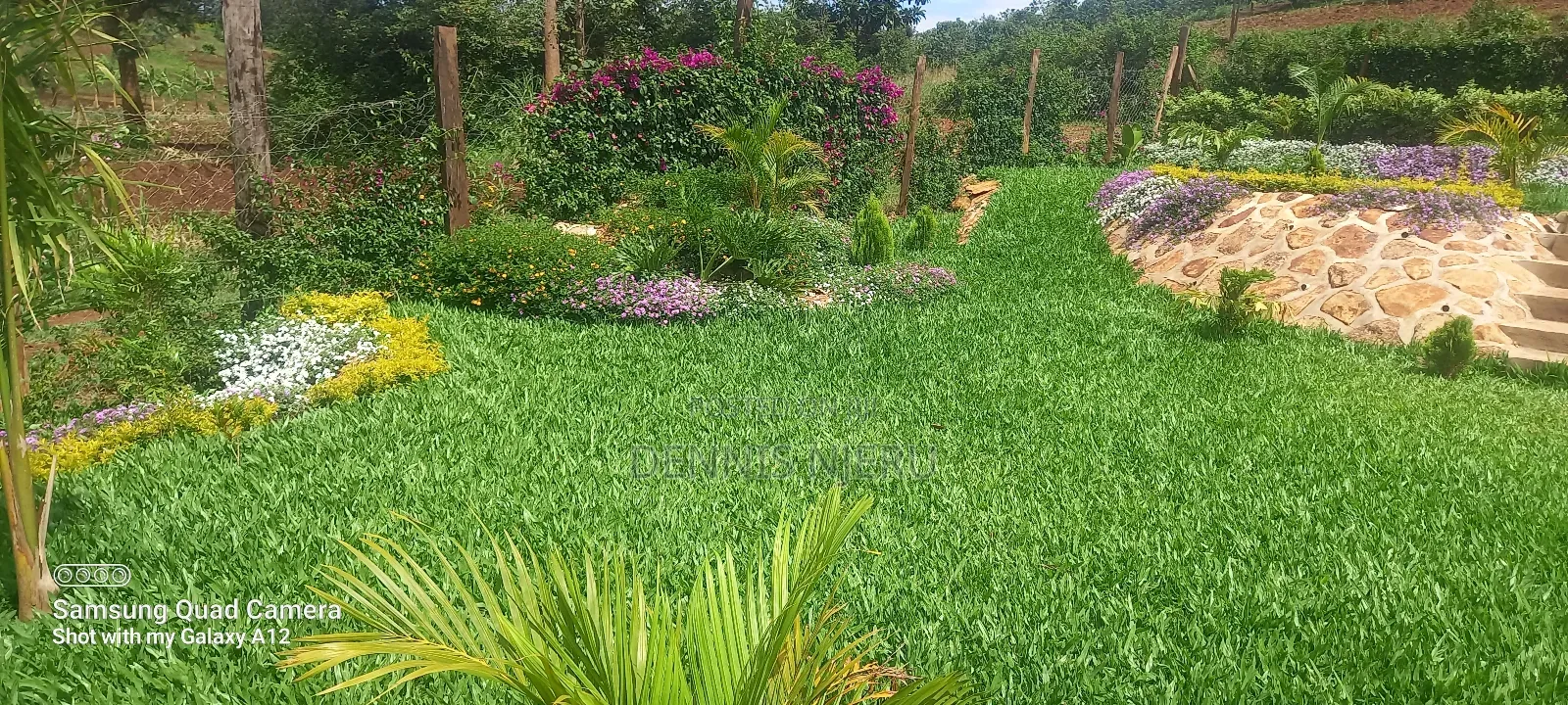 Landscaping