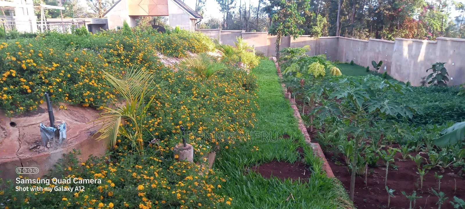 Landscaping