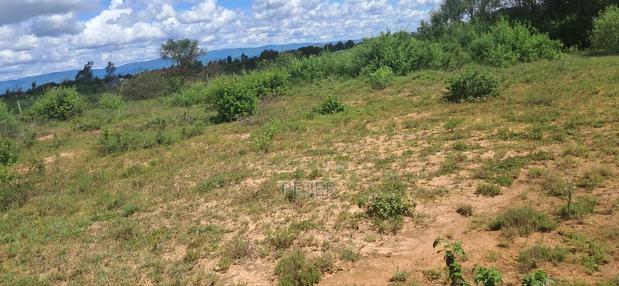 Property and Lands for Sale