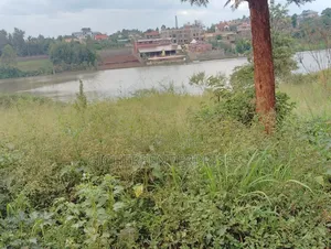 Ruiru Toll