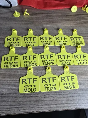Branded/Engraved Goats Ear Tags