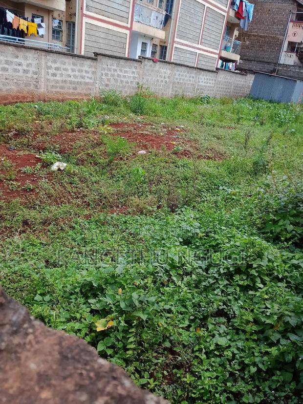 50x100 Commercial Plot Ruaka - thumbnail 3