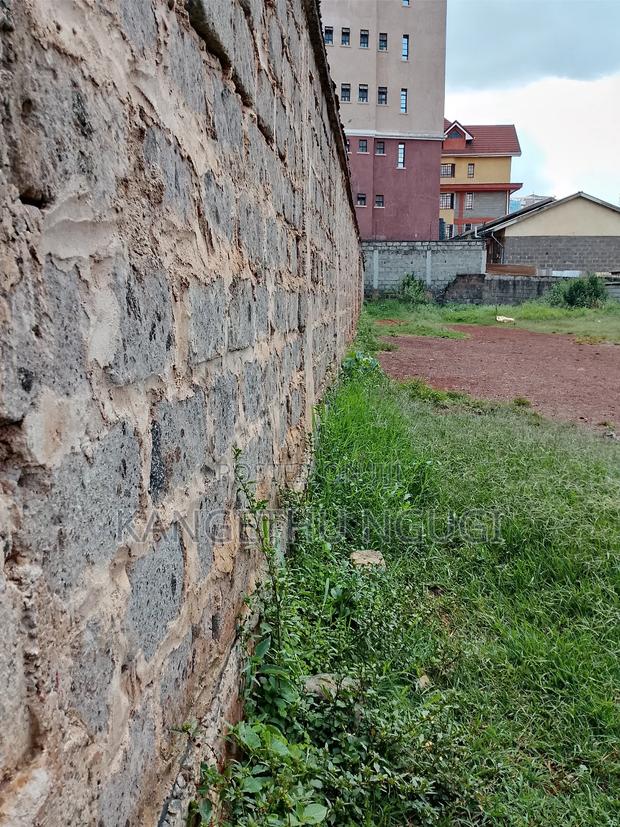 50x100 Commercial Plot Ruaka - thumbnail 5