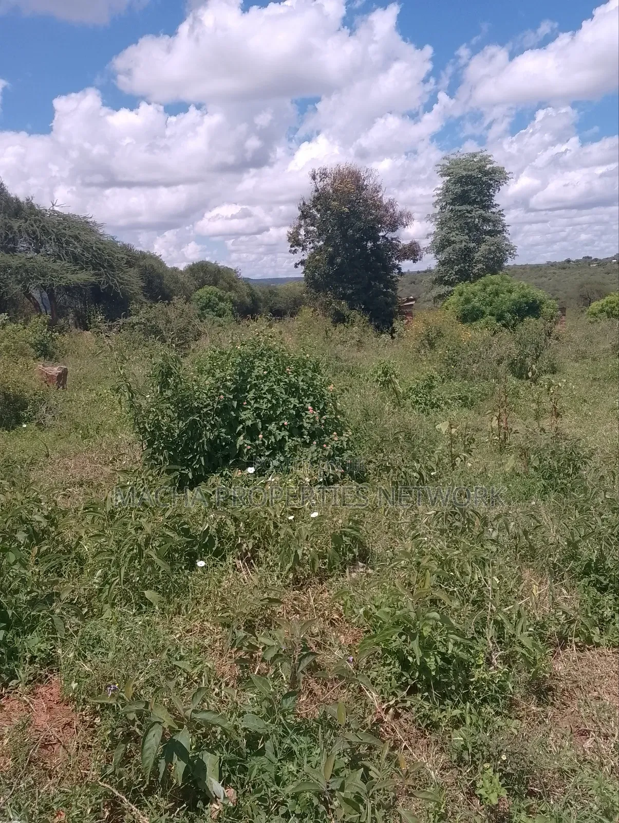 Land -22 Acres.Machakos