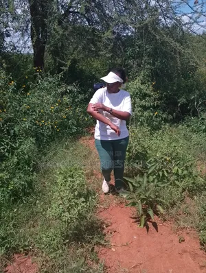 Land -22 Acres.Machakos