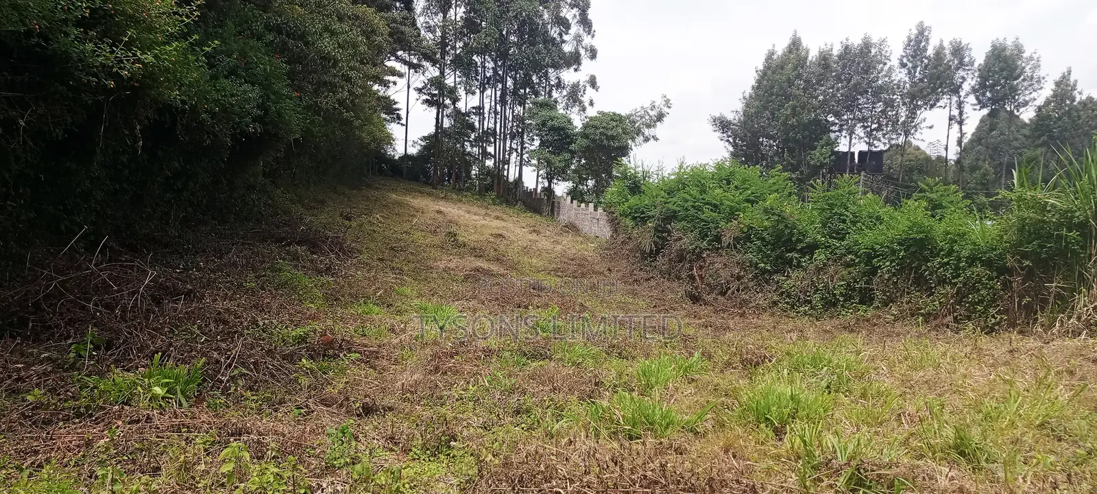 Vacant Plots for Sale in Thogoto