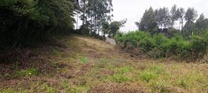 Vacant Plots for Sale in Thogoto - main view