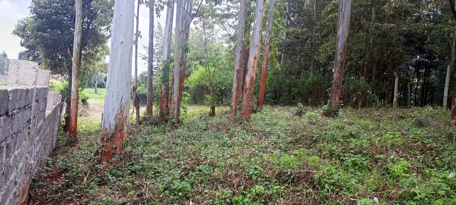 Vacant Plots for Sale in Thogoto