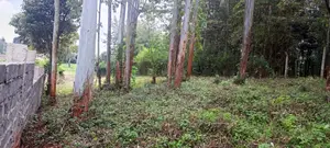 Vacant Plots for Sale in Thogoto