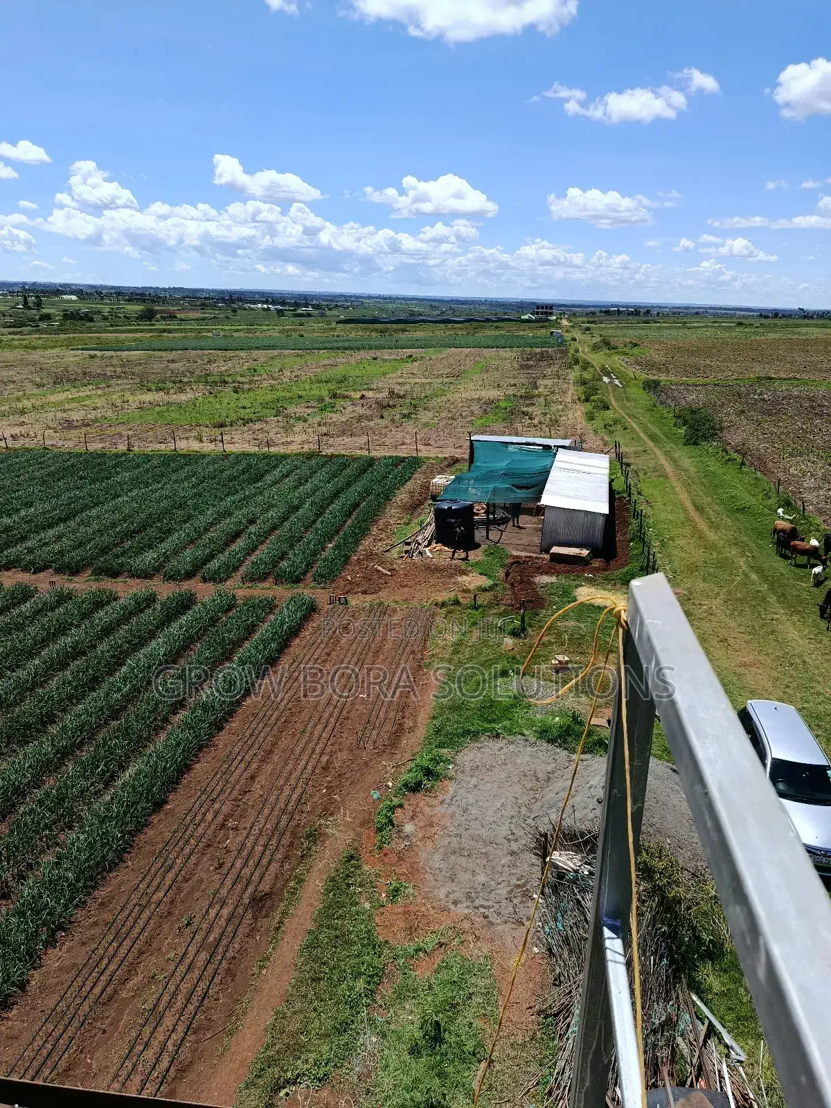 Irrigation Systems , Drip Irrigation, Rainhose and Sprinkler Sets